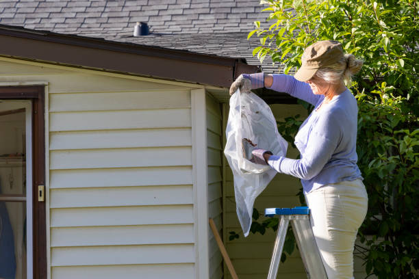 Gutter cleaning